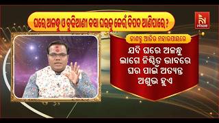 ଘରେ ଅଳନ୍ଧୁ ଓ ବୁଢ଼ିଆଣୀ ବସା ଘରକୁ କେଉଁ ବିପଦ ଆଣିପାରେ ?