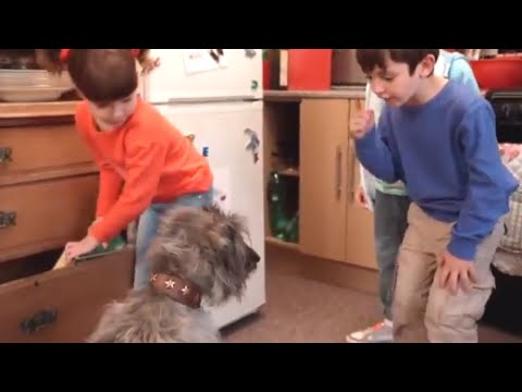 Tosia i Tymek po polsku | Szkolenie Psów | bajki dla dzieci po polsku | Topsy and Tim Polish