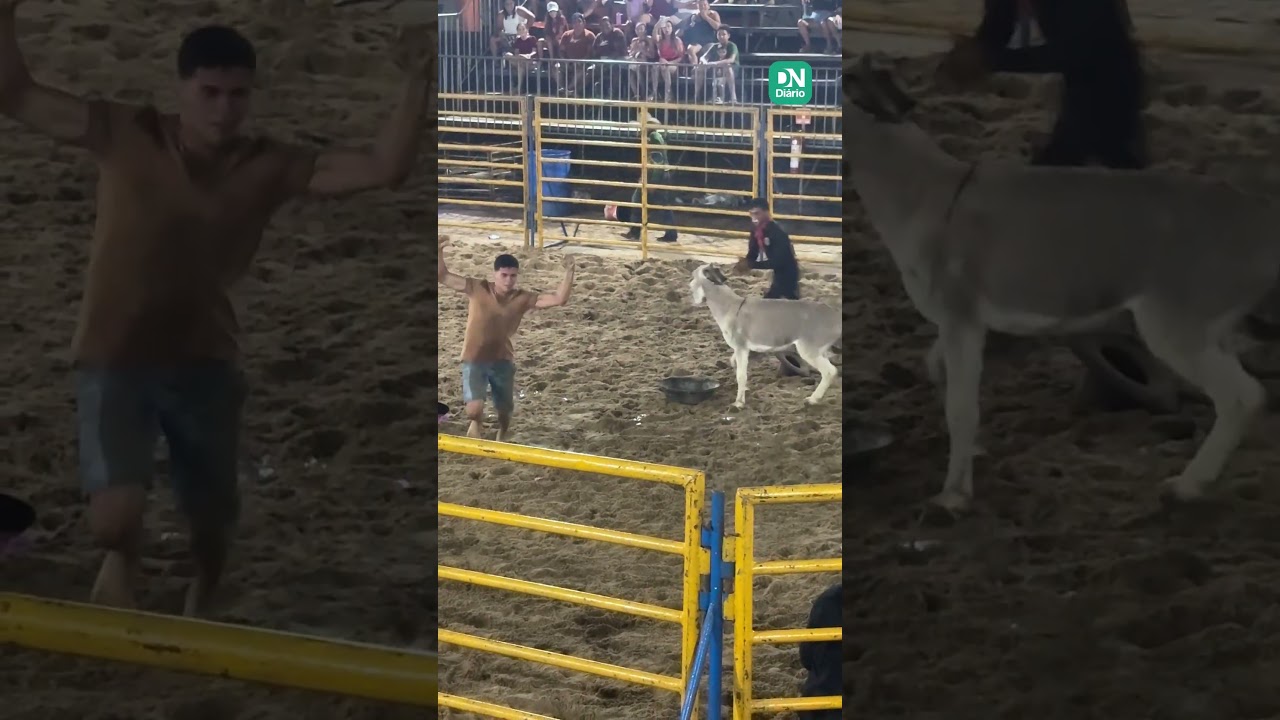 Imagem da notícia Chifrada, mordida e queda: desafio por cerveja e dinheiro deixa cearense ferido em Morada Nova