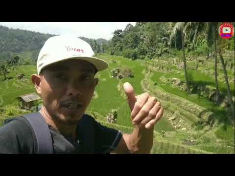 mantap siang ini mandi bareng bersama teman teman.