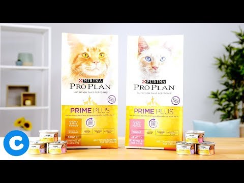 Purina Pro Plan Prime Plus Adult 7+ Cat Food | Chewy