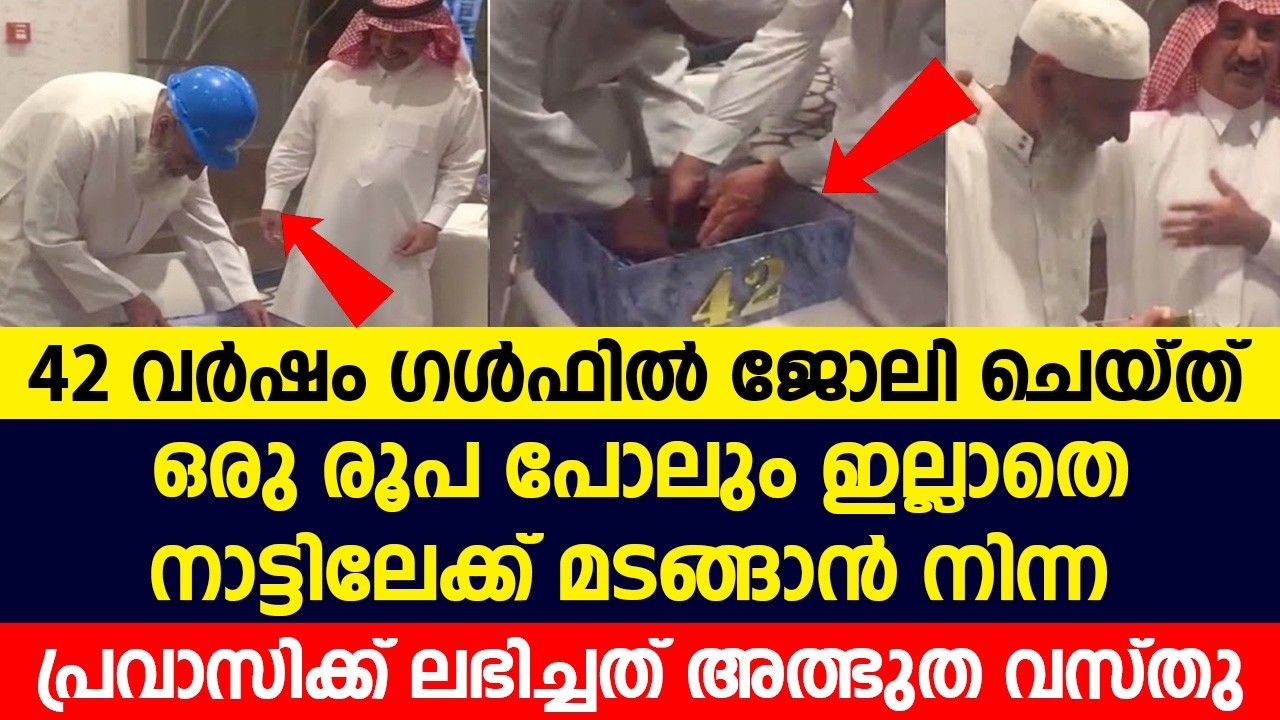 heartwarming story of an expatriate heartwarming story of an expatriate