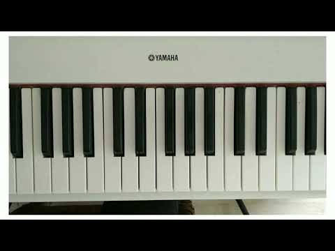 You Never Can Tell - Chuck Berry (piano riff)