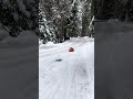 Cute Bulldog Goes For Sled Ride Down Hill