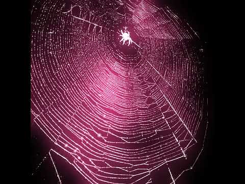 FREE AMBIENT LOOPKIT - "YOURHEART" (experimental, ambience, wavy)