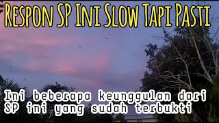 Download lagu SP Ini Jitu Memikat Anakan Walet mp3