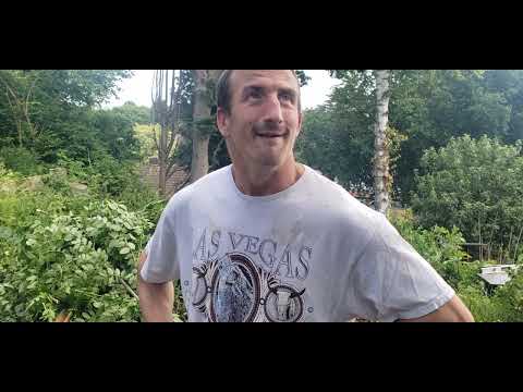 Clearing brambles part 2