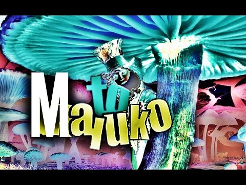 OS Hawaiano  feat Bonde Piração - Tô MALUCO ( CLIP WEB OFICIAL) Liandro levi