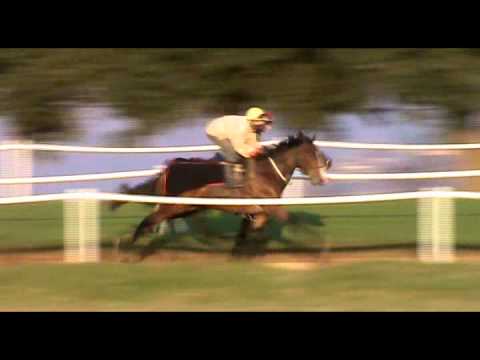 Gray's Champ & Bulsara trackwork