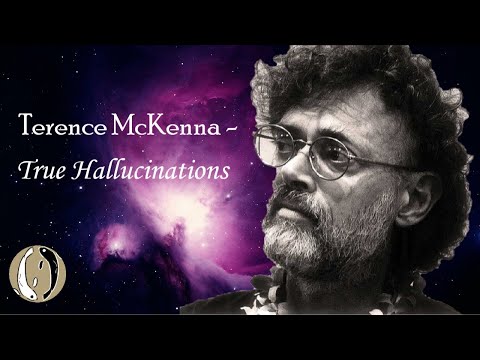 Terence McKenna - True Hallucinations | 432hz Music | Space Travel