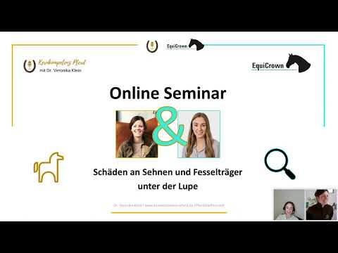 Schäden an Sehnen und Fesselträger unter der Lupe (Pferdegesundheit)