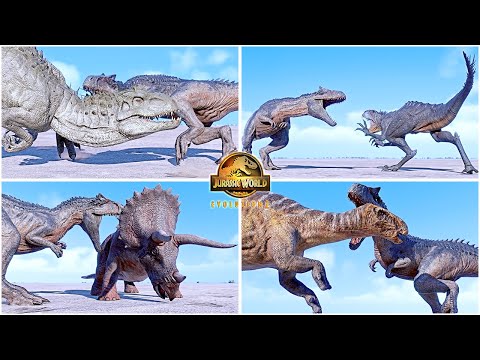 Dominion Allosaurus VS All Dinosaurs Killing Animations 🦖 Jurassic World Evolution 2