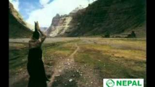 Kailash Mansarovar Yatra