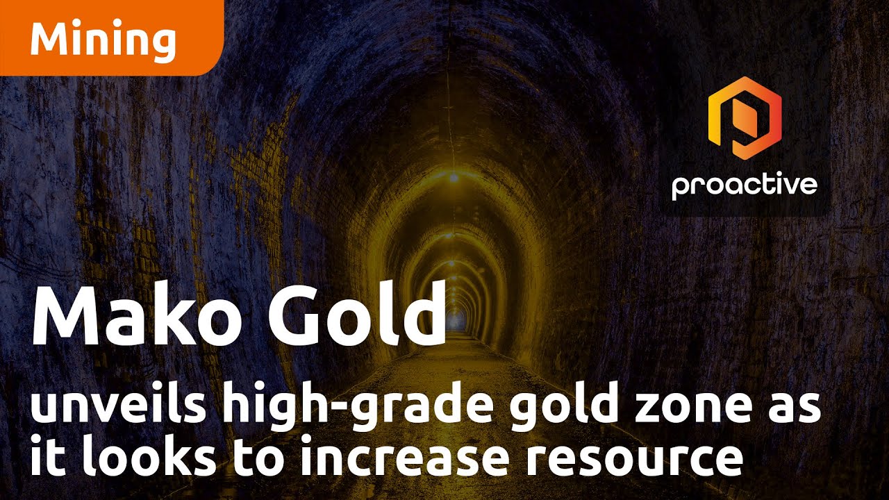 Mako Gold unveils high-grade gold zone as it looks to increase maiden resource