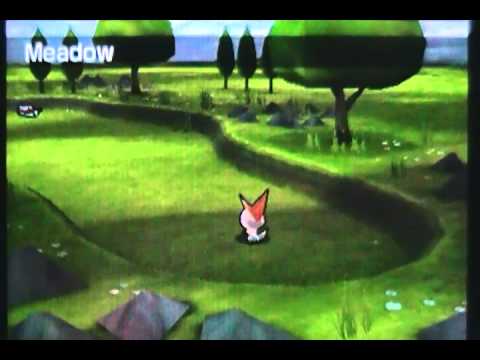 Pokemon Rumble Blast Walkthrough 2 - Firey Fail