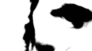 Remember You Vol.2 (A Tribute To Chet Baker) - Noël Akchoté : 01 - Cherokee