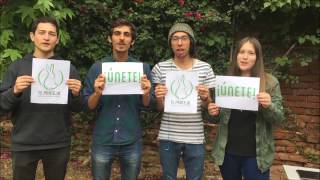 Campaña Crowdfunding | TeProtejo.cl