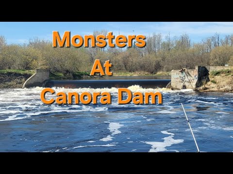 Monsters At Canora Dam.