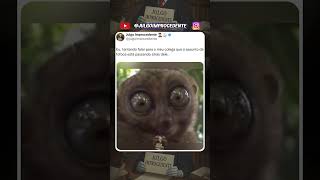 O assunto chegou 😂 #memesjurídicos #humor #advogado #julgoimprocedente #memes