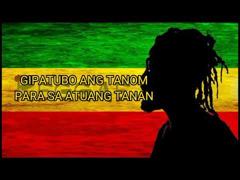 Herbal Na Utan - Halamana (Lyrics Video)
