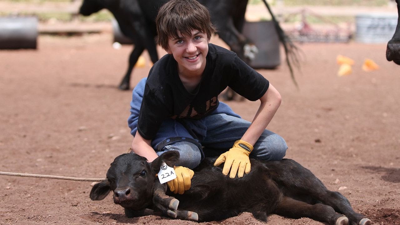 Plotting a Device-Free Family Vacation