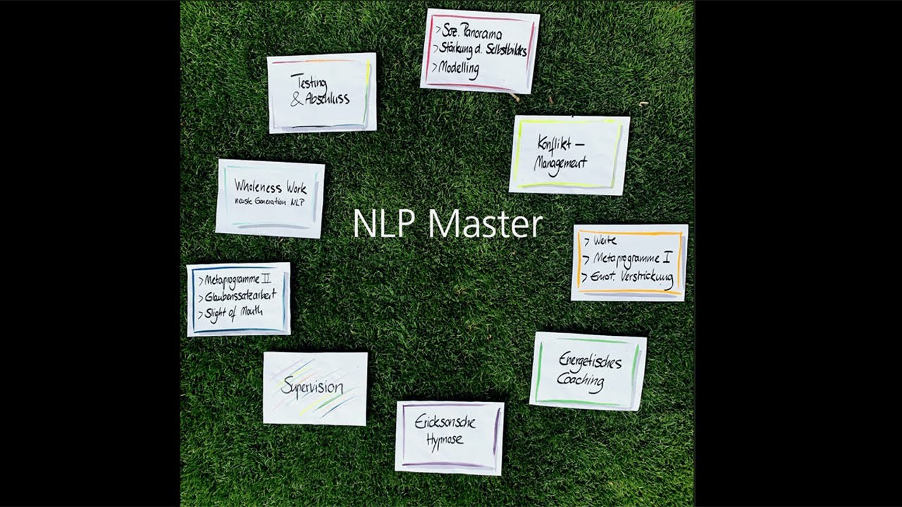 NLP Master, DVNLP Inhalte
