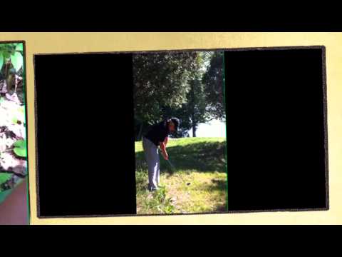 La forêt des mal aimés