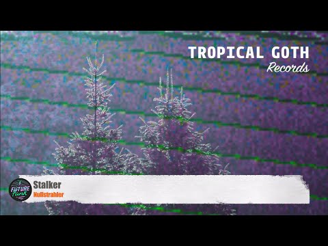 Nullstrahler - Stalker [Tropical Goth]