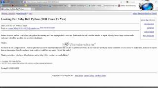 Pets On Craigslist