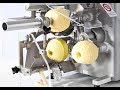 Машина для очистки, нарезания, удаления сердцевины из яблок 70-100 кг/час - фото 1