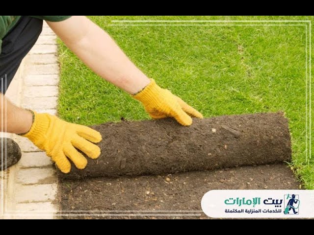 تركيب عشب صناعي في دبي