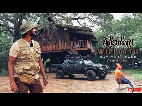 Wilpattu National Park | ලංකාවේ විශාලතම වනාන්තරය මැදින් කුදිරමලේ තුඩුව දක්වා | #wilpattu #Kudiramale