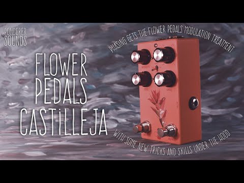 #81 Flower Pedals - Castilleja