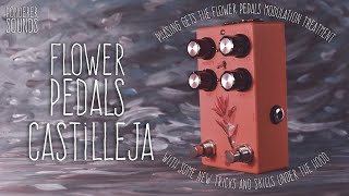 Video thumbnail for #81 Flower Pedals - Castilleja by Ponderer Sounds