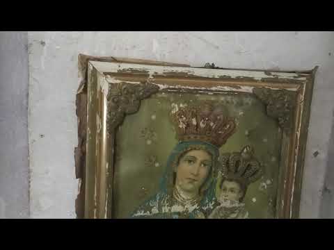 Przekaz do Tigera Bonzo #tiger #tigerbonzo #wuwunio #palhajstv