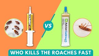 Advion Vs Combat Cockroach Gel Bait: Who Kills The Roaches Fast