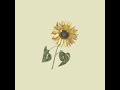 Sunflower By Lukrembo