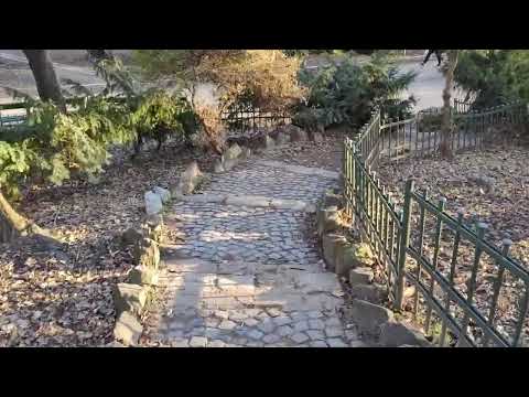 Huawei P50 Pocket, Full HD Video Sample (Stabilisation)