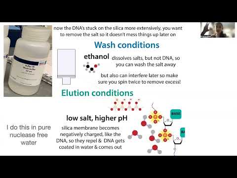 Spin column nucleic acid purification - how it works