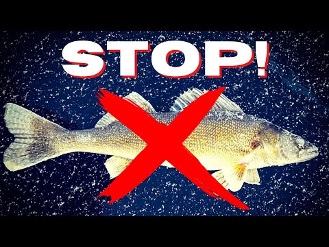 5 Easy Ways to Keep Your Fish From Freezing On The Ice!