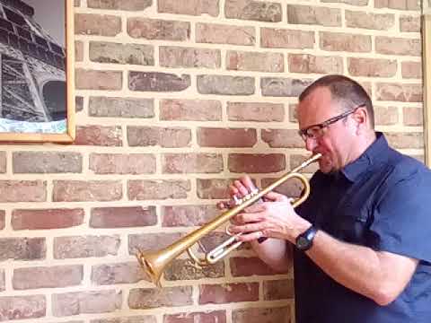 Serge donne cours de Trompette dans 3 Académies: ●César Franck de Visé, ●de Grétry Liège, ●de Chênée