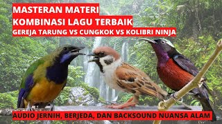 Download lagu masteran materi kombinasi roll tembak burung juara | gereja tarung vs cungkok vs kolibri ninja mp3
