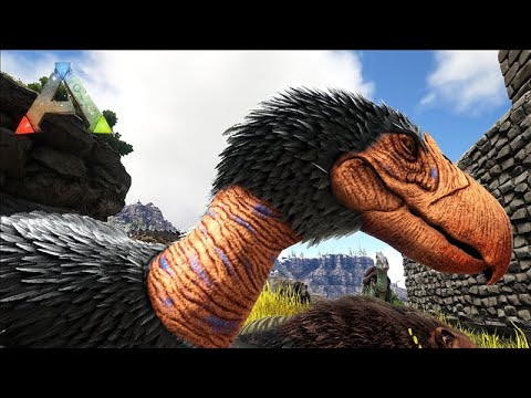 CAMPEONATO DE AVES DO TERROR -  ARK LOST ISLAND