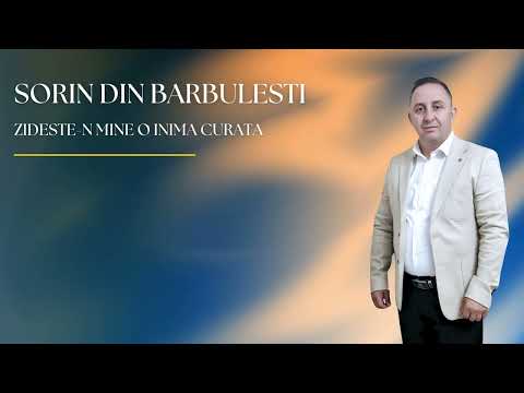 🙏 Sorin din Bărbulești - Zidește-n mine o inimă curată! 🙏(cantare crestina veche)