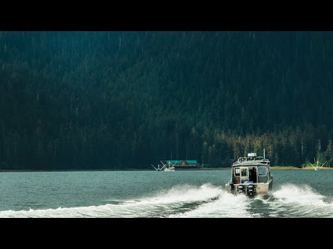 download lagu mp3 mp4 White Salmon Fish, download lagu White Salmon Fish gratis, unduh video klip White Salmon Fish