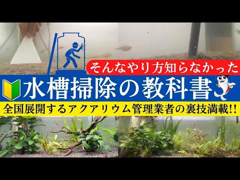 コチニールを完全に除去するにはどうすればよいでしょうか?効果的な6つの自然なヒント!  庭園