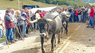 #Viral Feria de San Miguel , PuenteNansa 2025