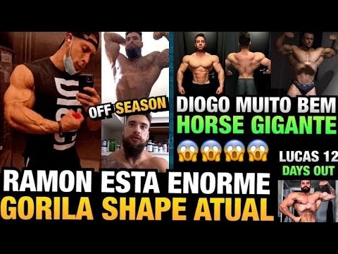 RAMON COM BRAÇO BRUTAL - GORILA MOSTRA SHAPE ATUAL (OFF SEASON) - HORSE GIGANTE E VAI COMPETIR