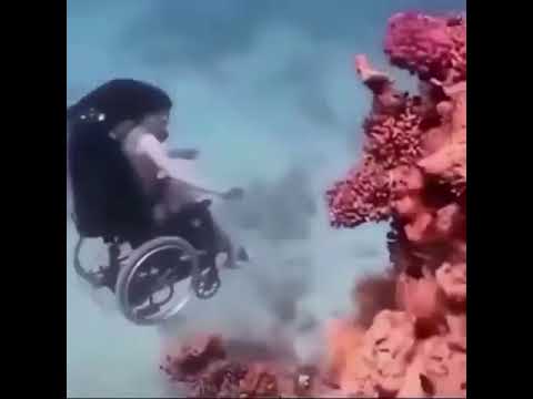 The terraria soundtrack that go-