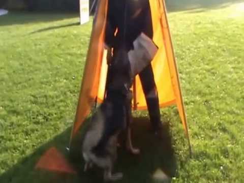 PHILL VIKAR (28-29.09.2013) defence. Pozorant: Vit Glisnik